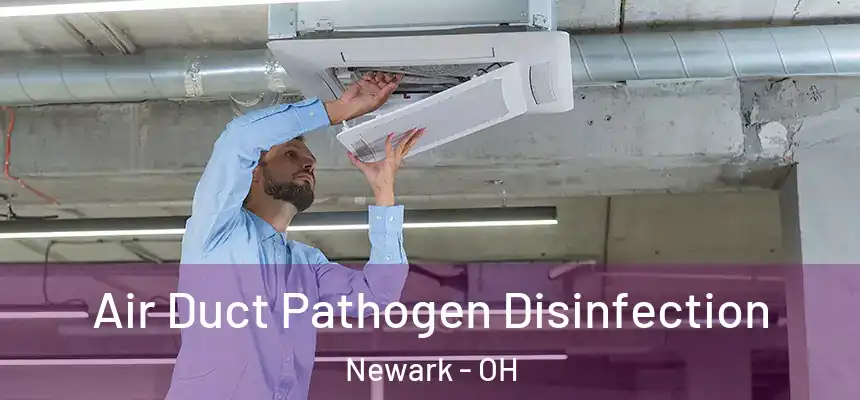  Air Duct Pathogen Disinfection Newark - OH