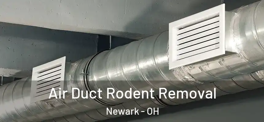  Air Duct Rodent Removal Newark - OH