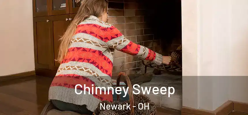  Chimney Sweep Newark - OH