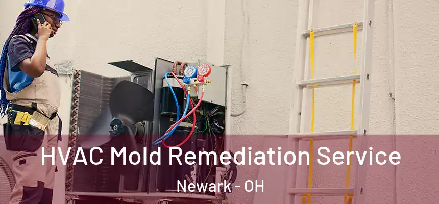  HVAC Mold Remediation Service Newark - OH