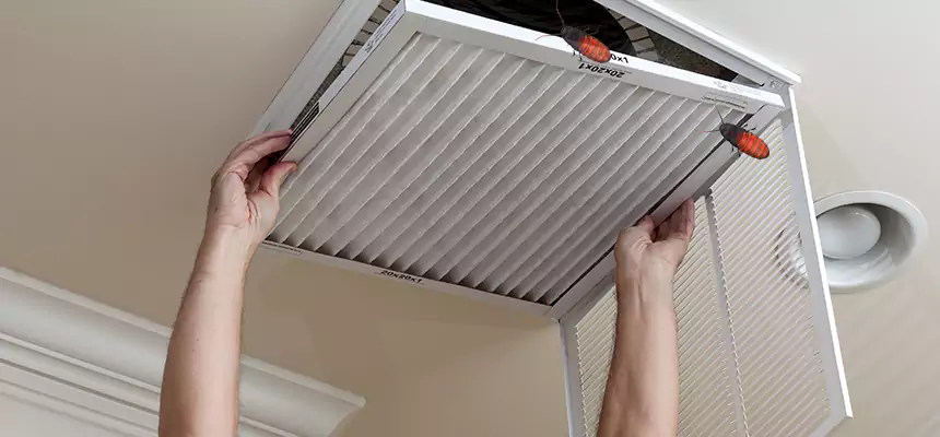 Our Insect Removal from Air Ducts Services in Newark, OH