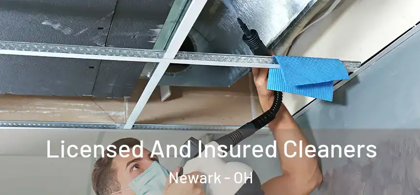  Licensed And Insured Cleaners Newark - OH