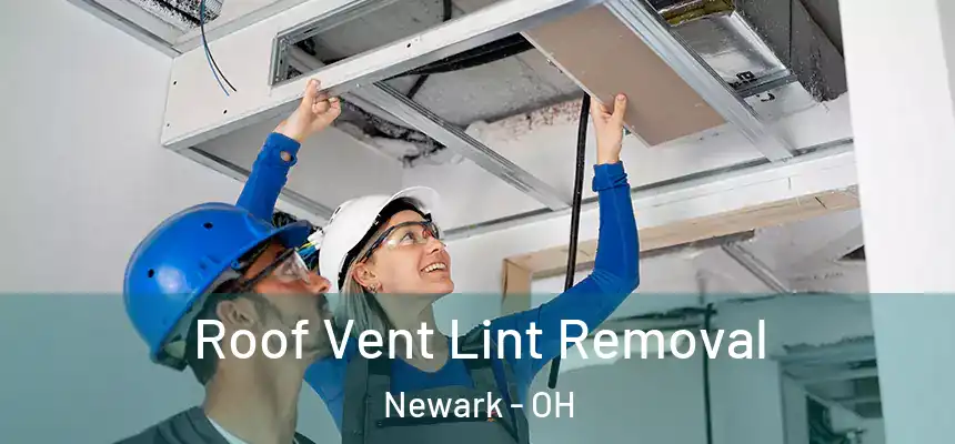  Roof Vent Lint Removal Newark - OH