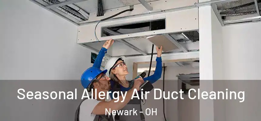  Seasonal Allergy Air Duct Cleaning Newark - OH