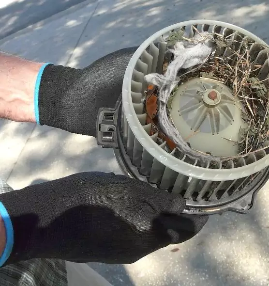 About Air Duct Mice Removal in Newark, OH