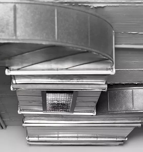 Professional Air Duct Pest Removal in Newark, OH